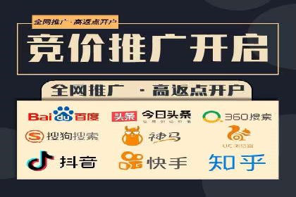 SEO百度推广策略：成功案例解析